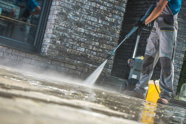 Best Parking Lot and Garage Cleaning  in Lexington, MI