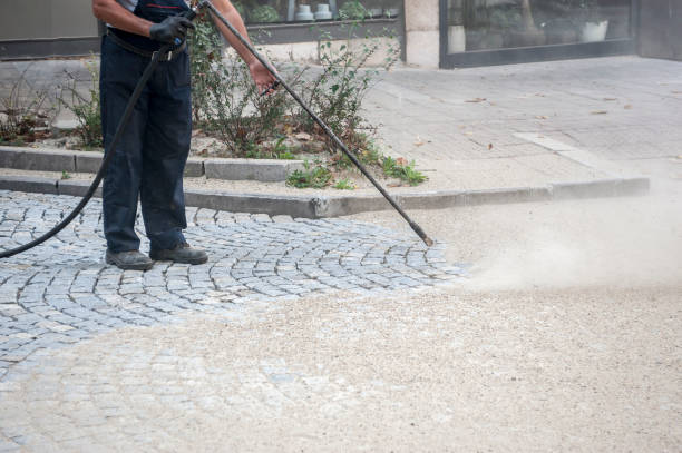 Best Animal Enclosure Cleaning  in Lexington, MI