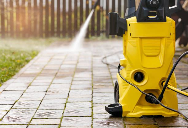 Best Sidewalk and Walkway Cleaning  in Lexington, MI